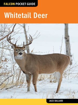 cover image of Whitetail Deer